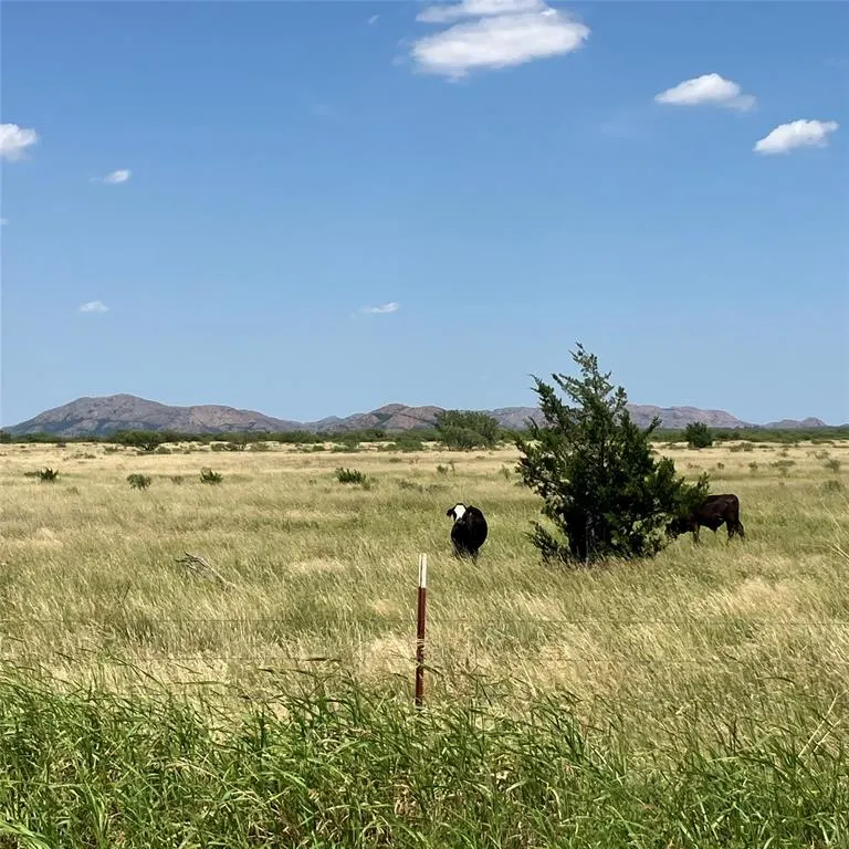 Photo 29 — 1550 E County Road, Mangum, OK 73554