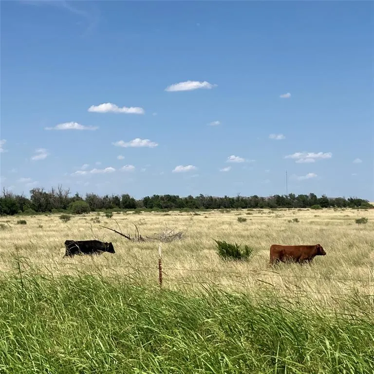 Photo 32 — 1550 E County Road, Mangum, OK 73554
