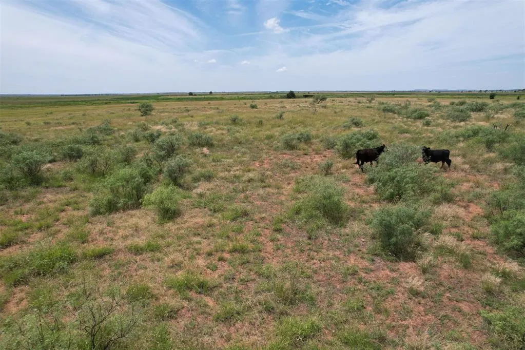 Photo 39 — 1550 E County Road, Mangum, OK 73554