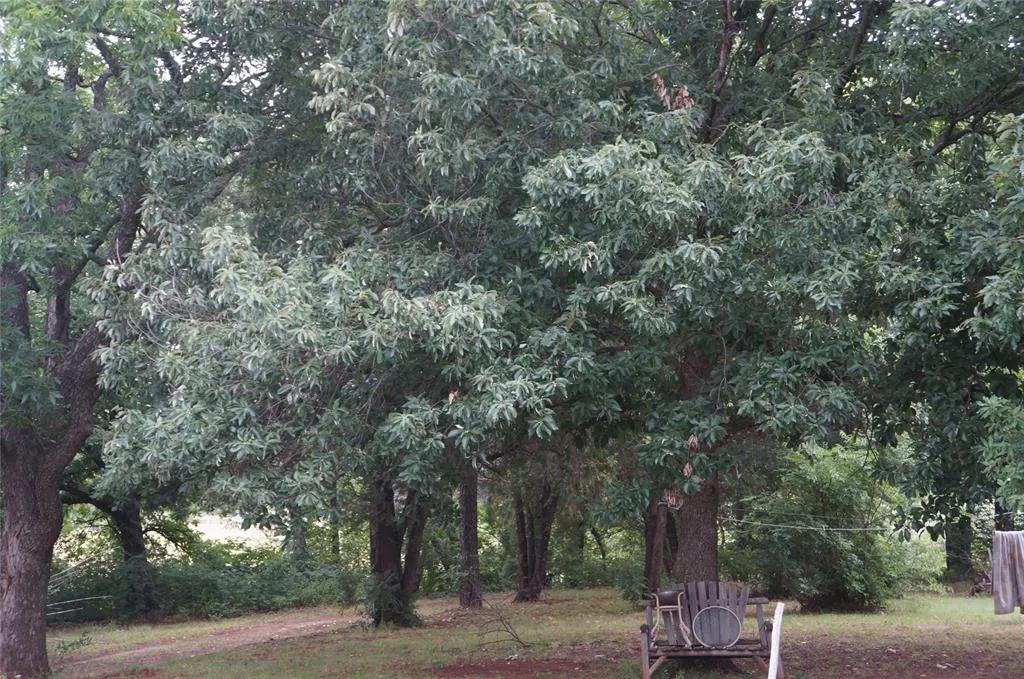 Photo 13 — 11681 Signal Hill Avenue, Byars, OK 74831