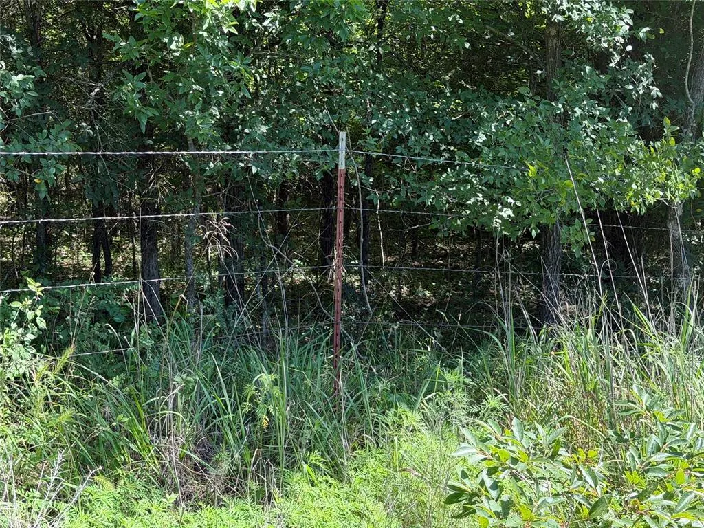 Photo 10 — 000 Newman Road, Wewoka, OK 74884