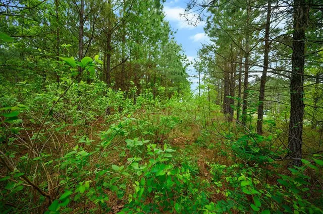 Photo 7 — 53 Pine Root Court, Broken Bow, OK 74728