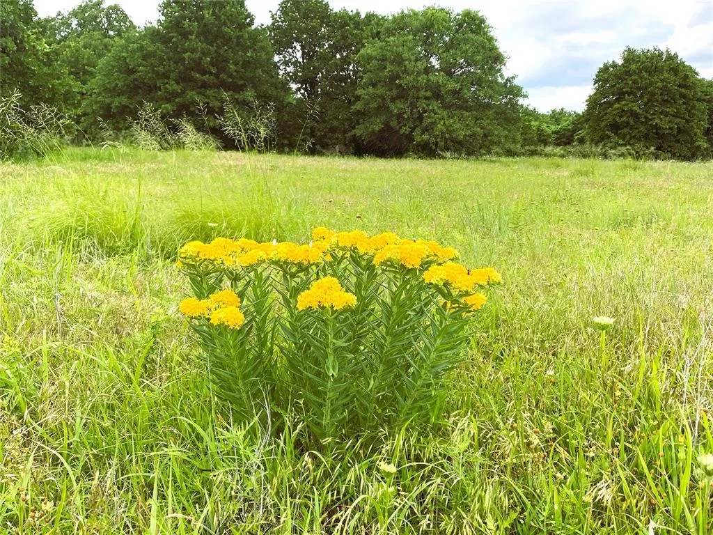 Photo 5 — Grumman Road Tract 9, Lindsay, OK 73052