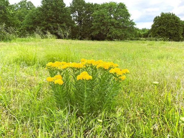 Photo 5 — Grumman Road Tract 9, Lindsay, OK 73052