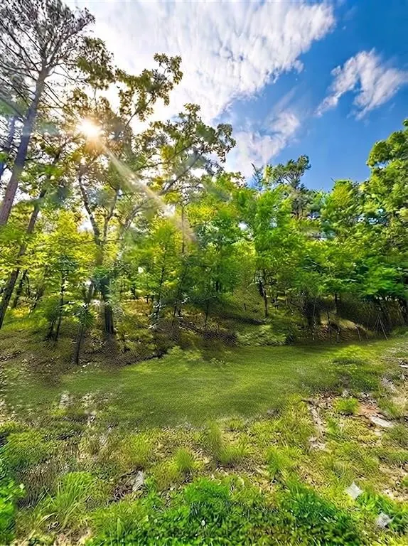 Photo 2 — 143 Western Cedar Trail, Broken Bow, OK 74728