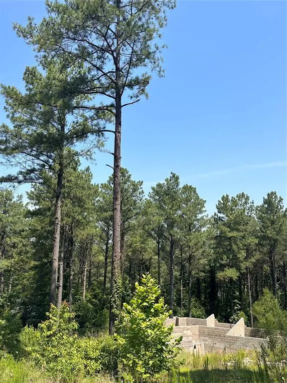 Photo 4 — 85 Green Apple Trail, Broken Bow, OK 74728
