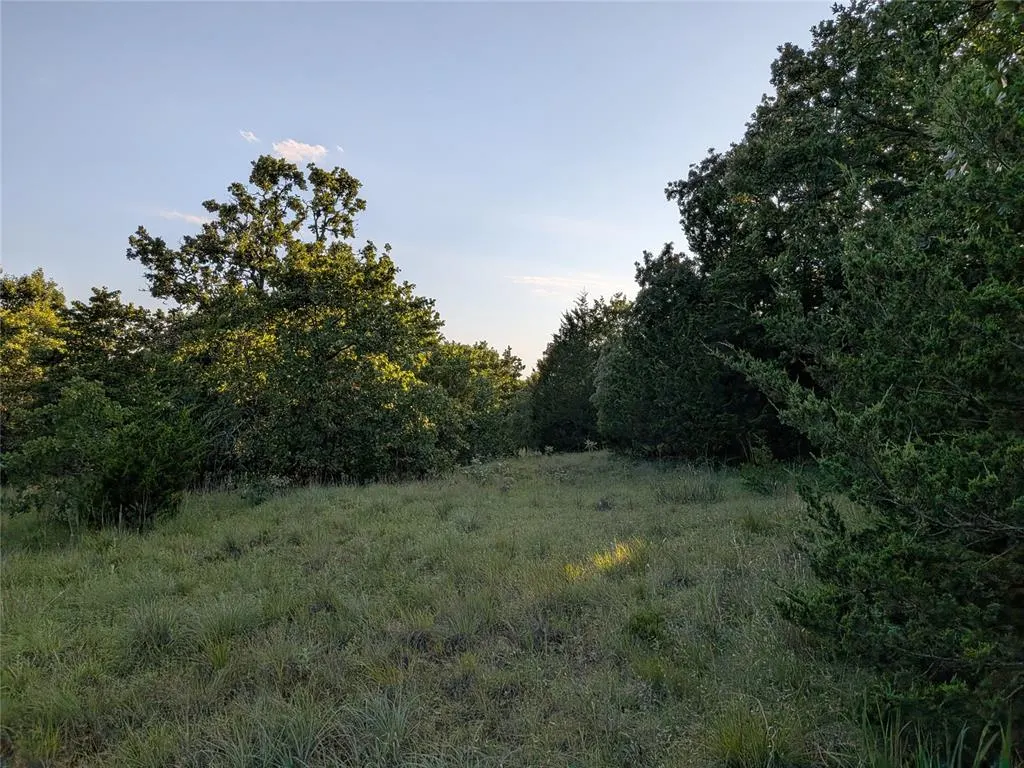 Photo 9 — Hwy 102, Tecumseh, OK 74873