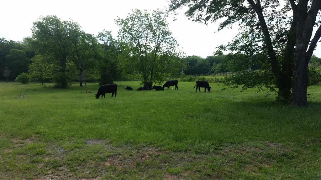 Photo 16 — 1501 E Tecumseh Road, Norman, OK 73071