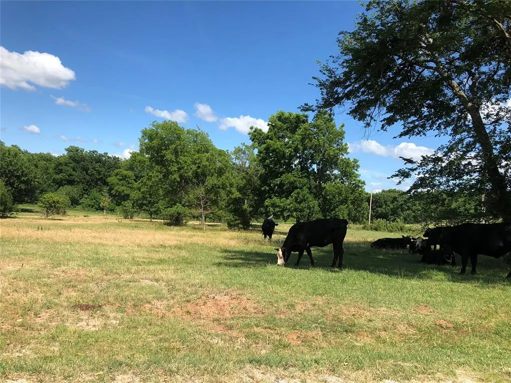 Photo 17 — 1501 E Tecumseh Road, Norman, OK 73071