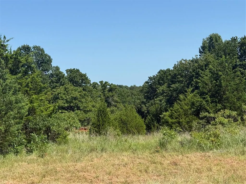 Photo 9 — 17001 Pepper Tree Road, Lexington, OK 73051