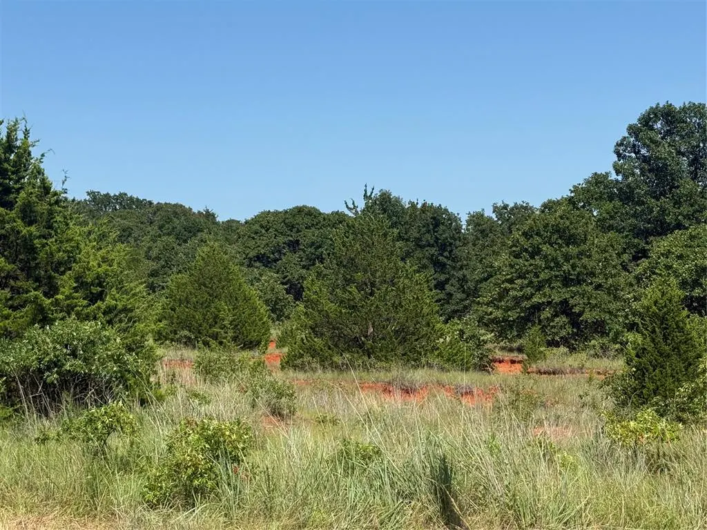 Photo 10 — 17001 Pepper Tree Road, Lexington, OK 73051