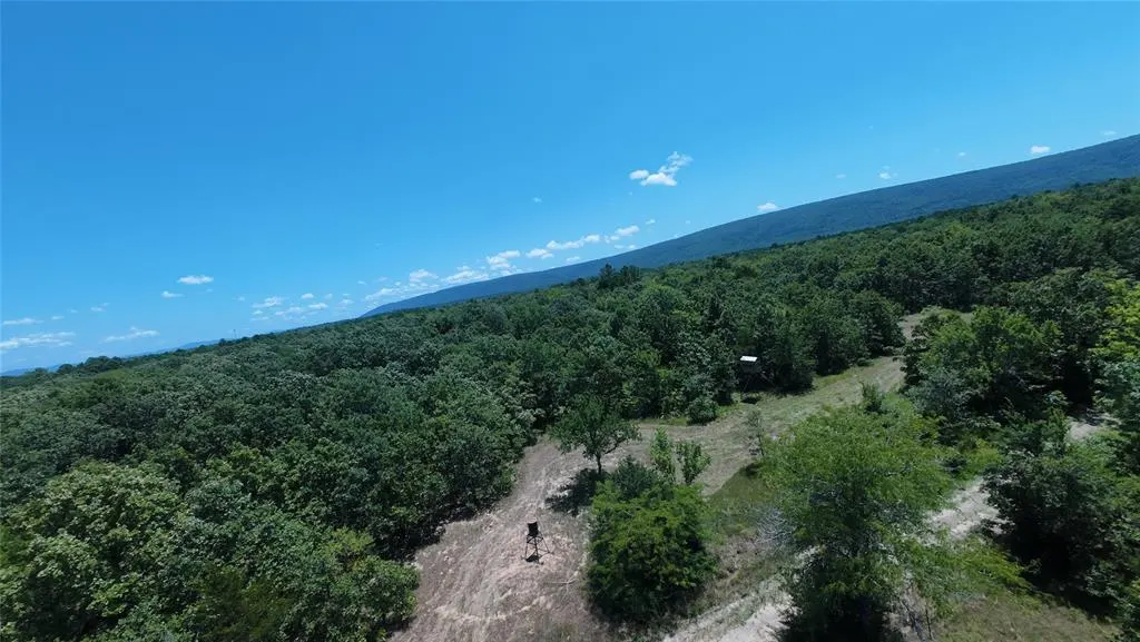 Photo 4 — 0 E 1630 Road, Talihina, OK 74571