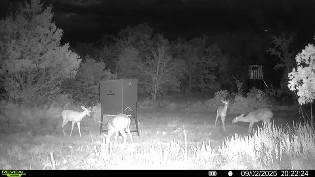 Photo 8 — 0 E 1630 Road, Talihina, OK 74571