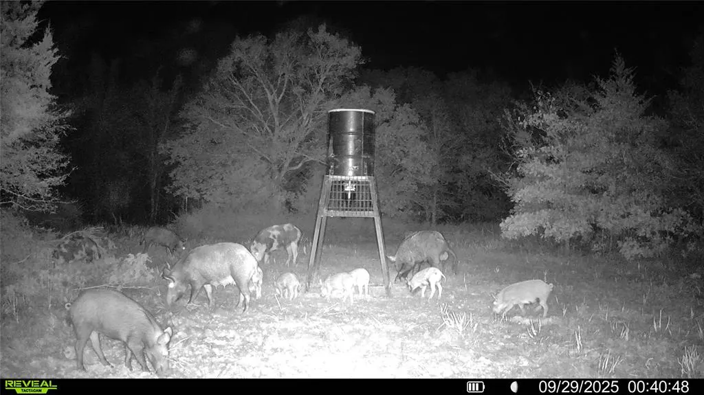 Photo 9 — 0 E 1630 Road, Talihina, OK 74571