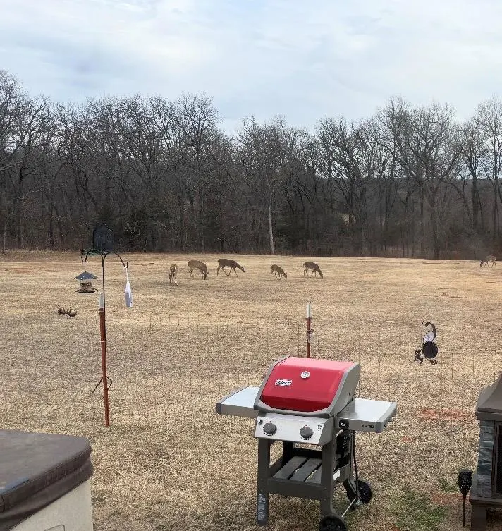 Photo 32 — 19751 Maguire Road, Noble, OK 73068
