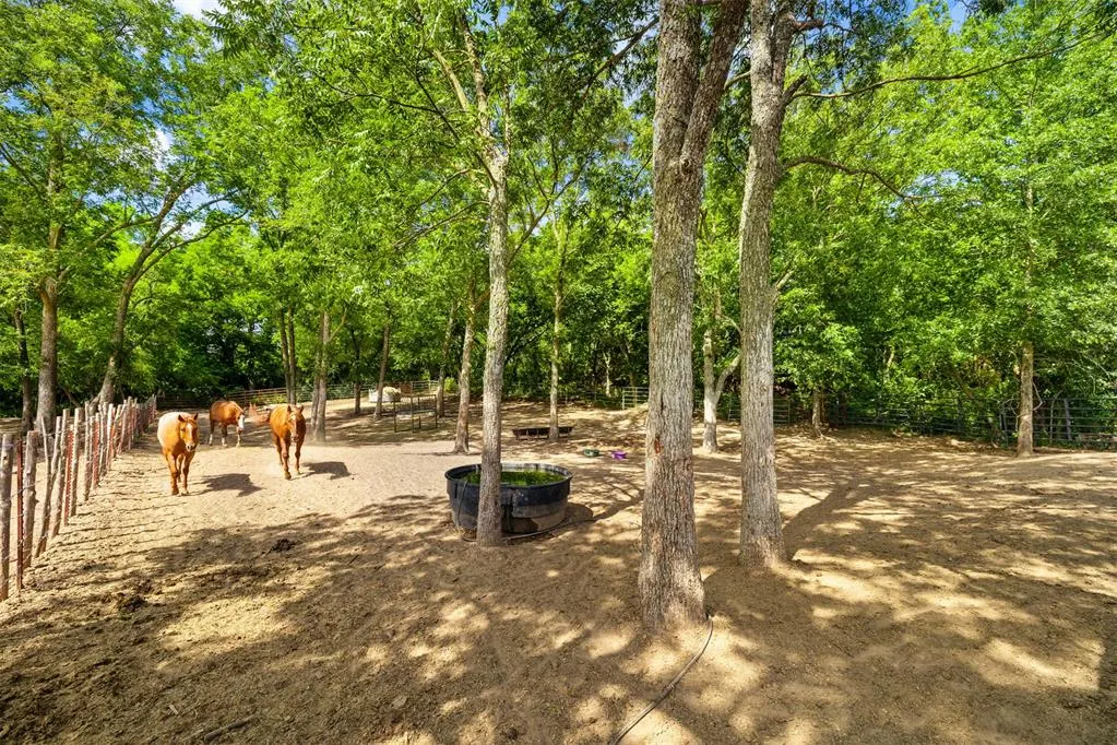 Photo 38 — 103 Cody Road, Earlsboro, OK 74840