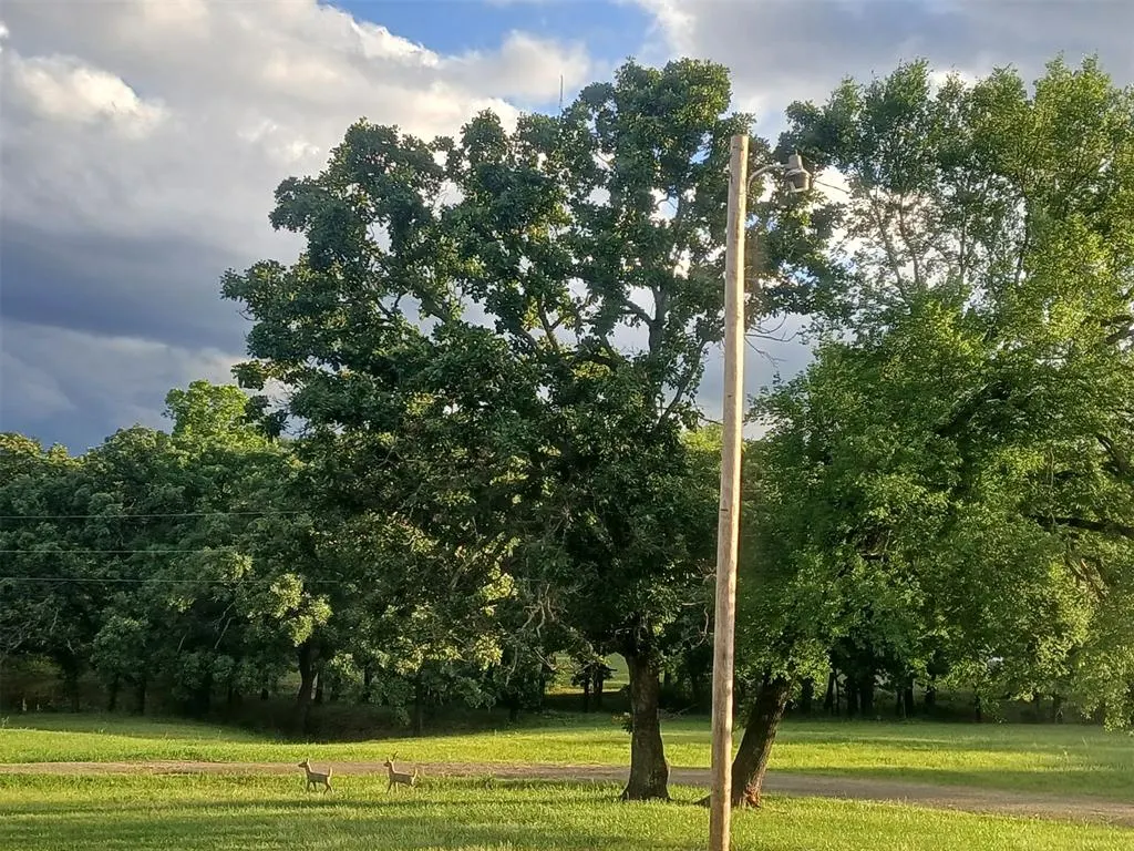 Photo 5 — 12655 Bristlecone Drive, Henryetta, OK 74437