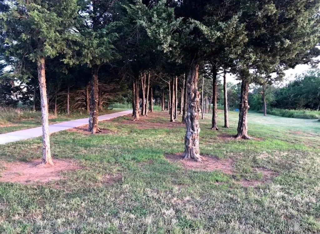 Photo 40 — 501 Poppy Lane, Norman, OK 73069