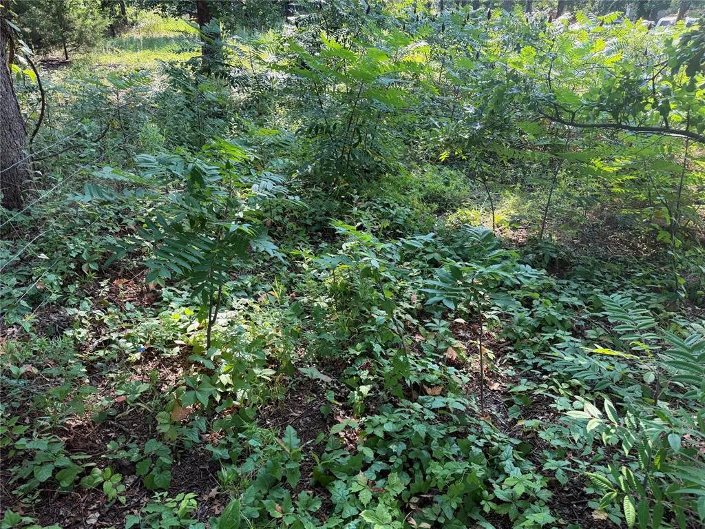 Photo 11 — 009 S Kelly Road, Agra, OK 74824