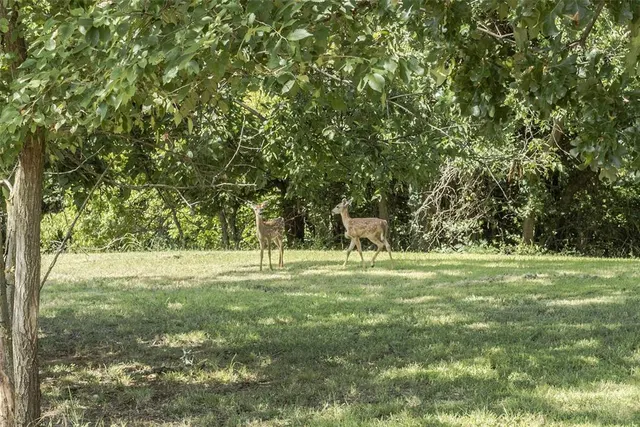 Photo 5 — 12100 S Broadway Street, Edmond, OK 73034