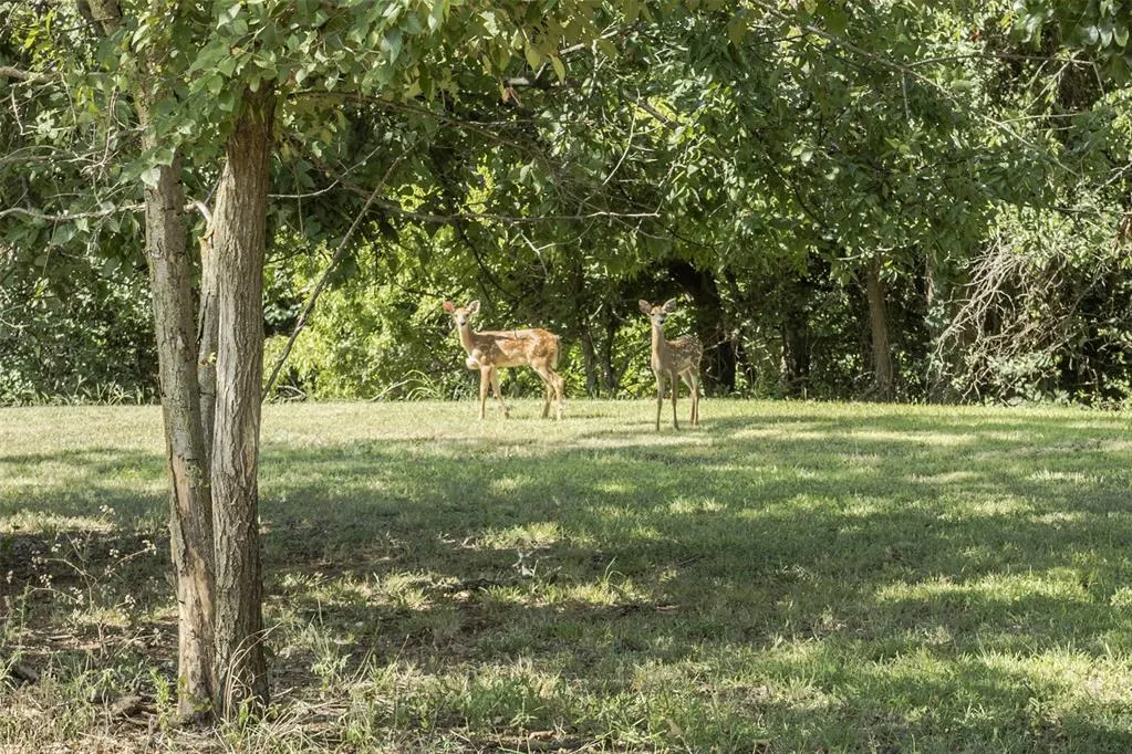Photo 6 — 12100 S Broadway Street, Edmond, OK 73034