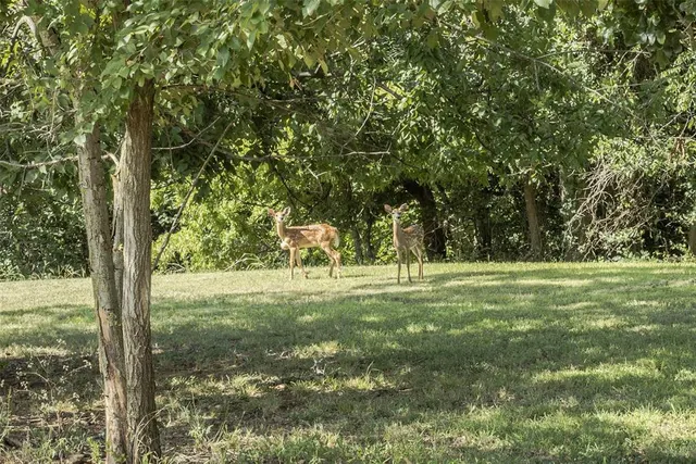 Photo 7 — 12100 S Broadway Street, Edmond, OK 73034