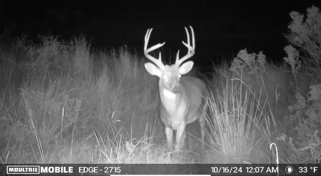 Photo 8 — 000 S 310 Road, Morris, OK 74437