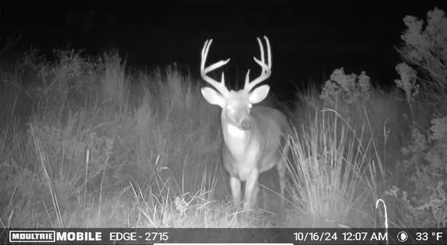 Photo 8 — 000 S 310 Road, Morris, OK 74437