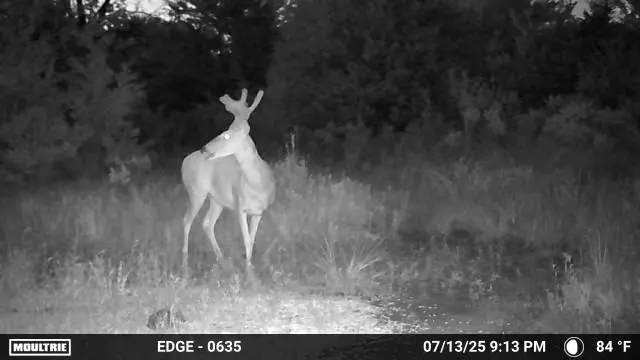 Photo 14 — 000 S 310 Road, Morris, OK 74437