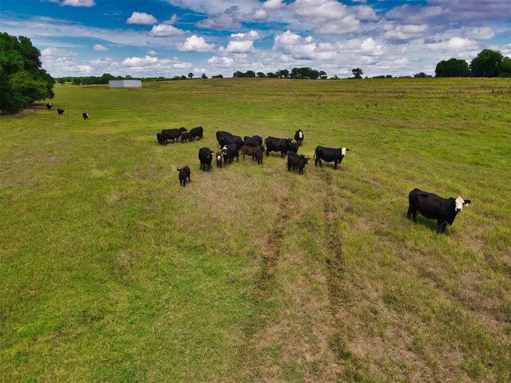 Photo 13 — 13612 St Hwy 74, Maysville, OK 73057