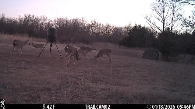 Photo 8 — E850 Rd & S3470 Rd Road, Chandler, OK 74834