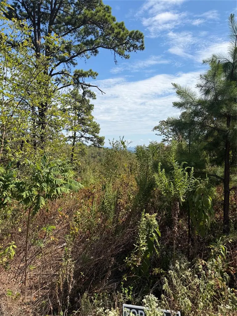 Photo 6 — 184 Vista Del Lago Trail 38, Broken Bow, OK 74728