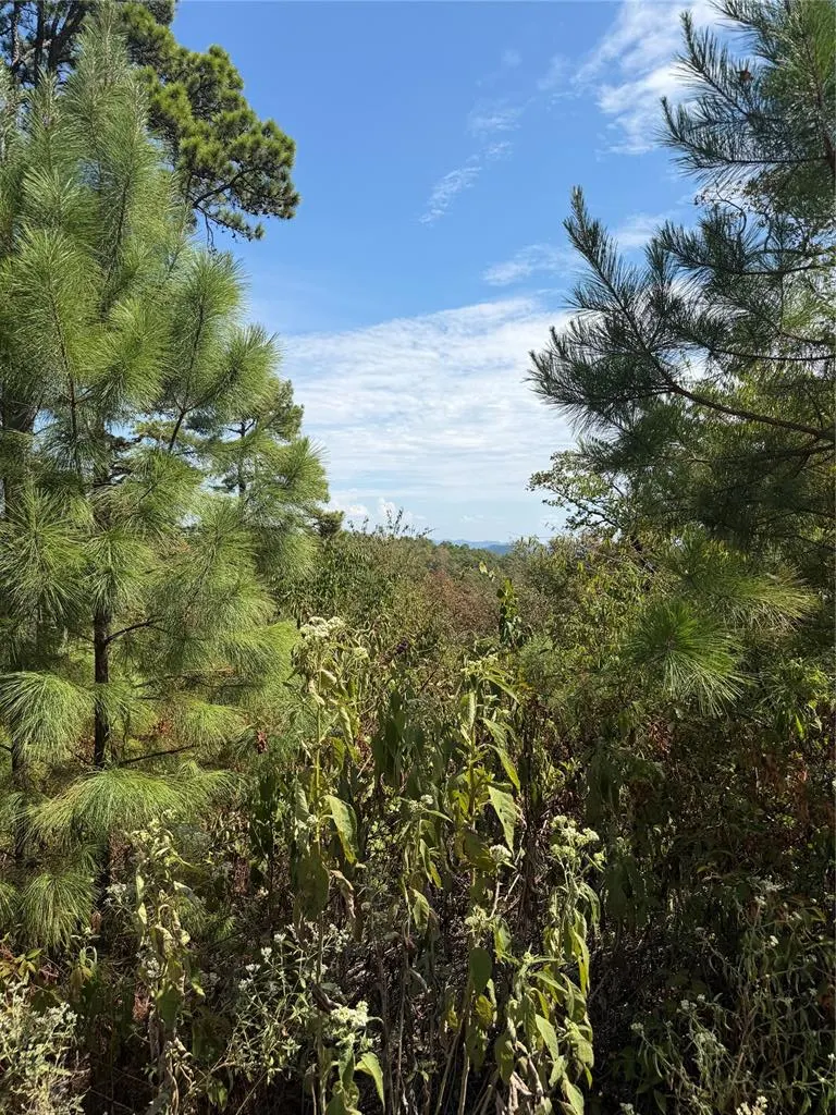 Photo 7 — 184 Vista Del Lago Trail 38, Broken Bow, OK 74728
