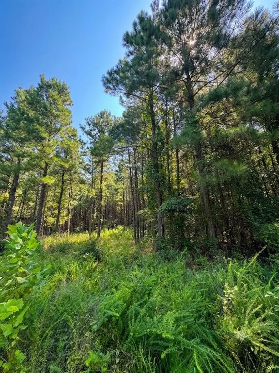 Photo 2 — 470 Creek Side Trail, Broken Bow, OK 74728
