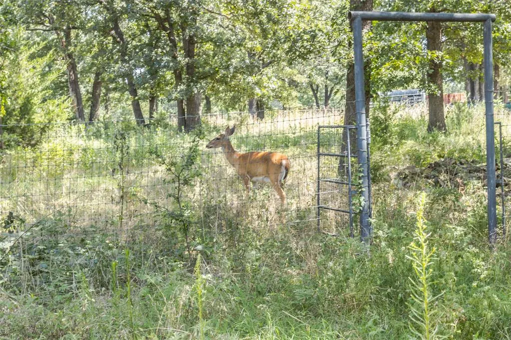 Photo 21 — 347368 E 800 Road, Cushing, OK 74023