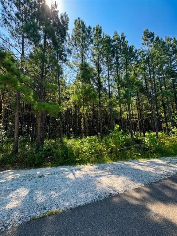 Photo 4 — 41 Creek Side Trail, Broken Bow, OK 74728