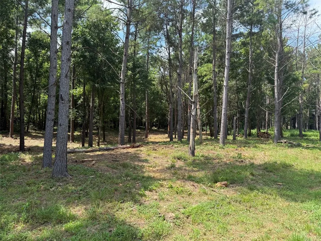 Front exterior — 168 Cinnamon Teal Trail Lot 79, Broken Bow, OK 74728