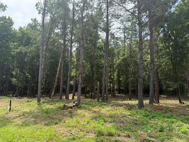 Photo 2 — 168 Cinnamon Teal Trail Lot 79, Broken Bow, OK 74728