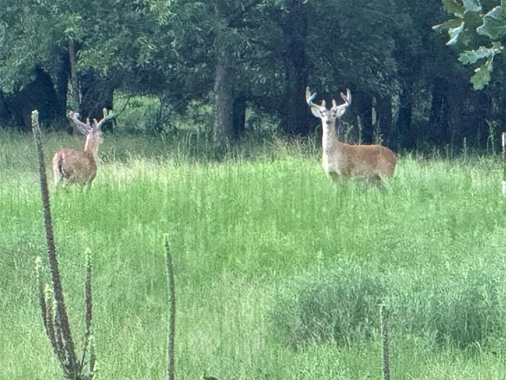 Photo 6 — 4807 Turkey Trail, Norman, OK 73026