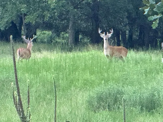 Photo 6 — 4807 Turkey Trail, Norman, OK 73026