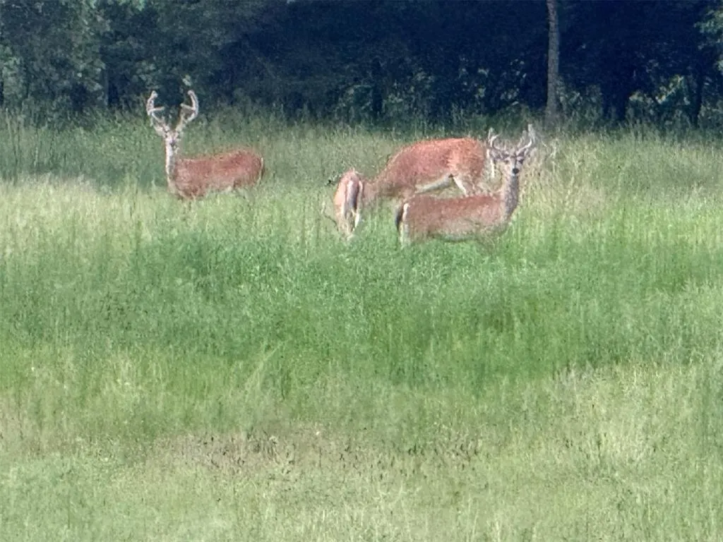 Photo 40 — 4807 Turkey Trail, Norman, OK 73026