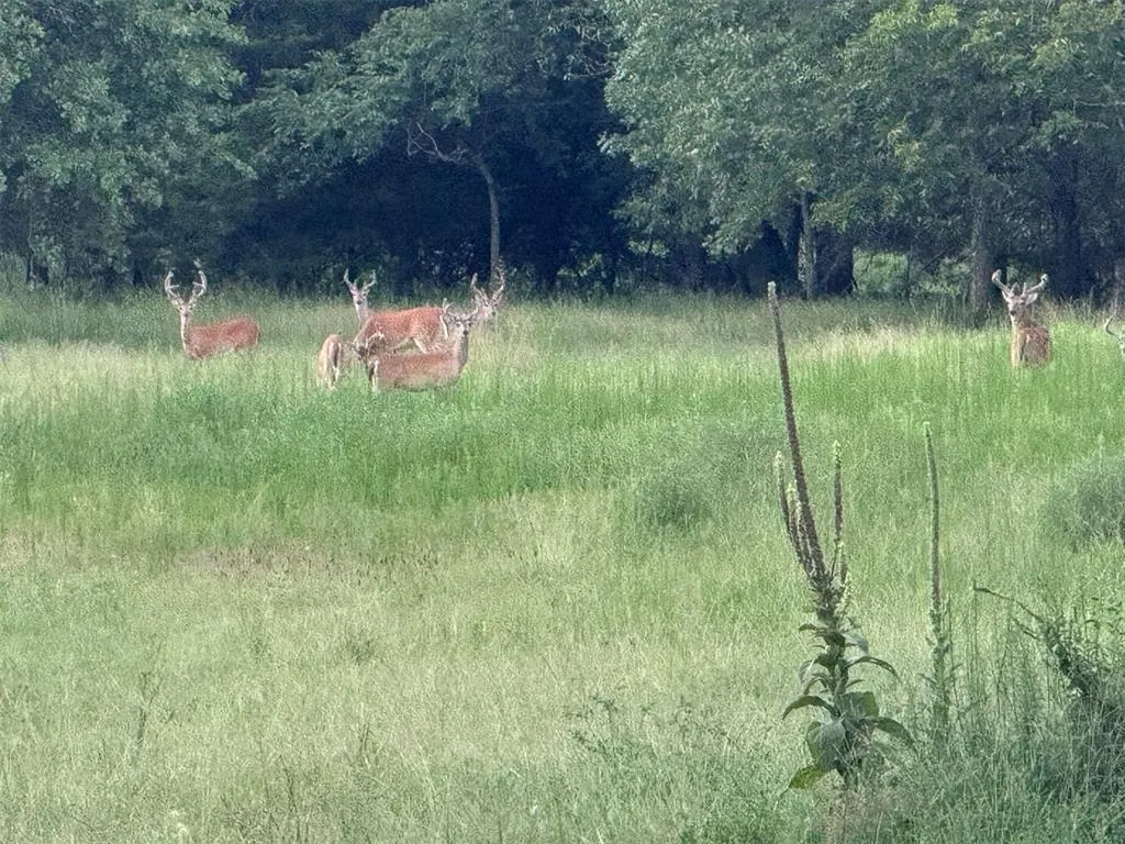 Photo 47 — 4807 Turkey Trail, Norman, OK 73026