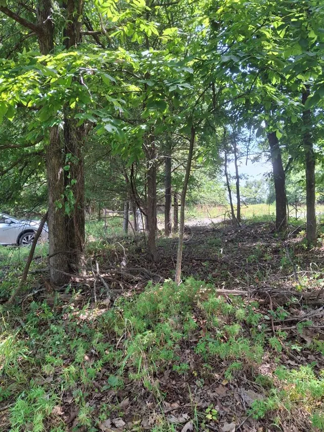 Photo 4 — county Road 1460 Road, Ada, OK 74820