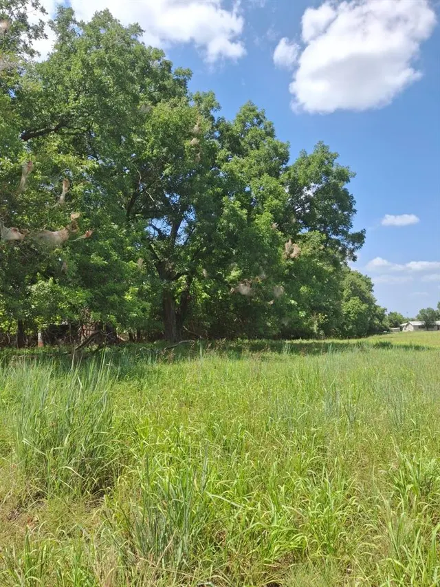 Photo 7 — county Road 1460 Road, Ada, OK 74820