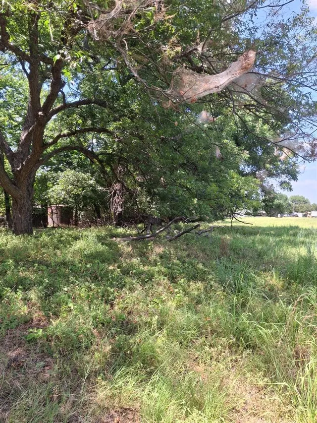 Photo 8 — county Road 1460 Road, Ada, OK 74820
