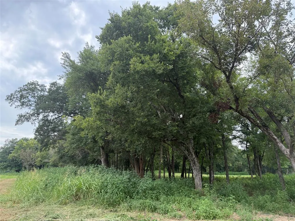 Front exterior — 32 Riverstone Drive Lot 32, Broken Bow, OK 74728