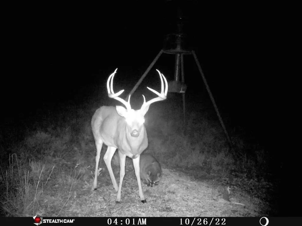 Photo 13 — 12100 N 362 Road, Wewoka, OK 74884