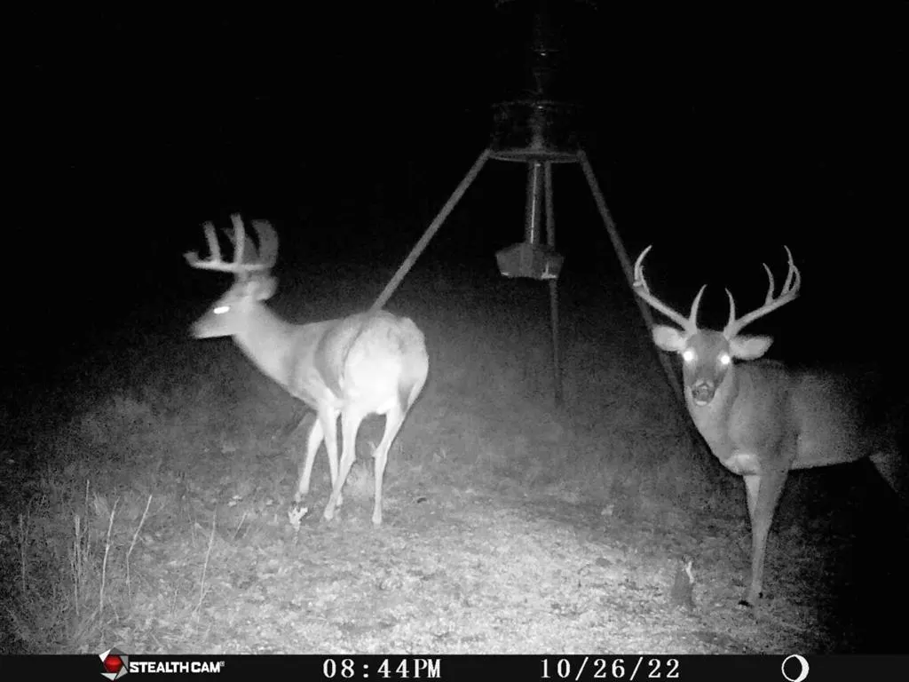 Photo 15 — 12100 N 362 Road, Wewoka, OK 74884