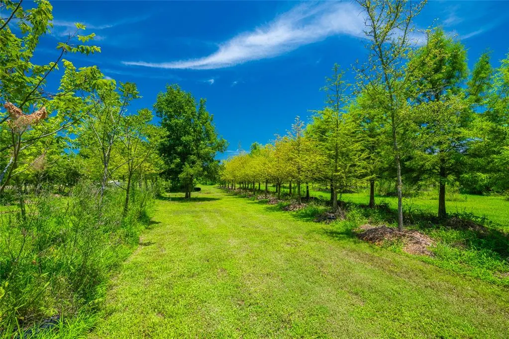 Photo 14 — 0 Highway 37, Garvin, OK 74736