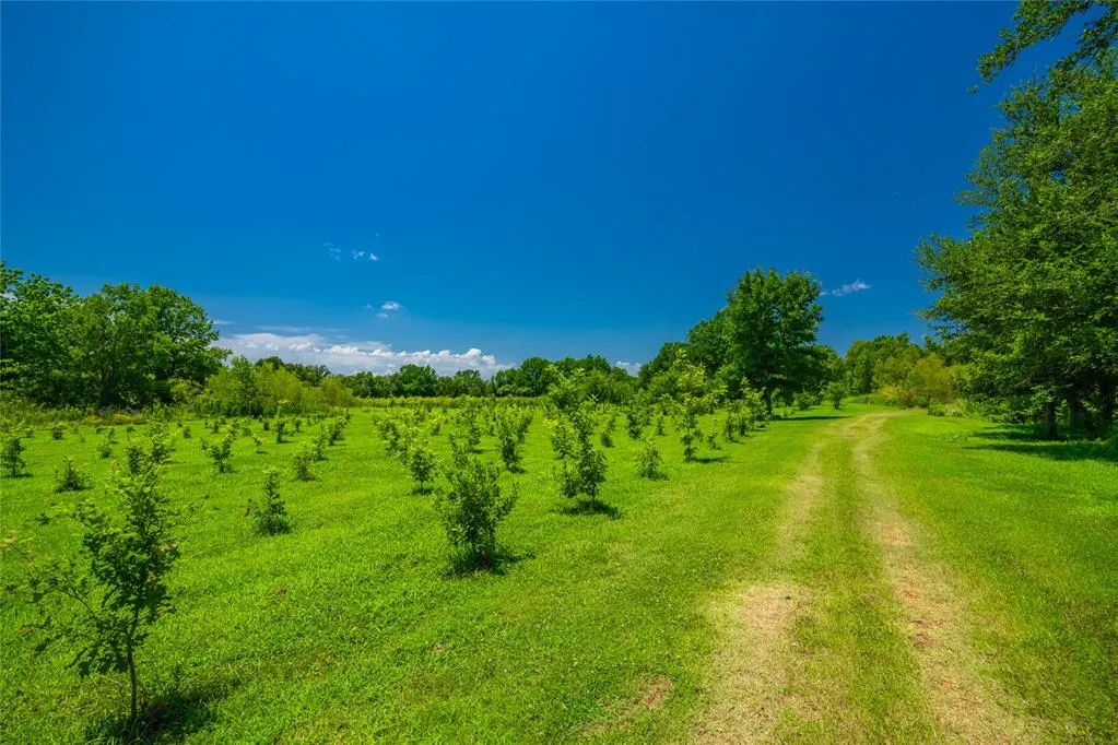 Photo 18 — 0 Highway 37, Garvin, OK 74736